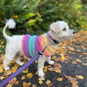 The Yorkie Christmas Jumper a Small Dog 