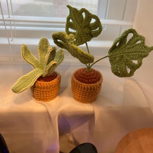 Perisa さんが購入した商品の写真を追加しました