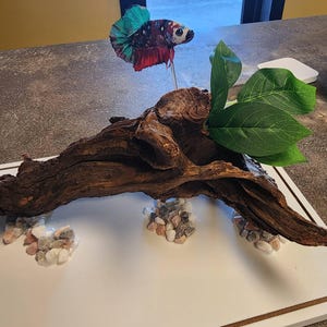 Aysia added a photo of their purchase