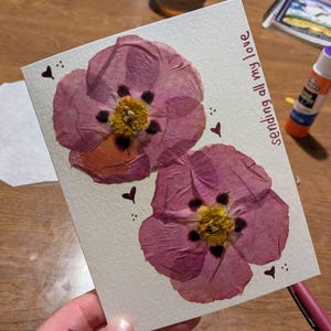 Kelsey さんが購入した商品の写真を追加しました