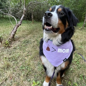 Kali added a photo of their purchase