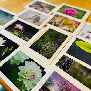 Melanie added a photo of their purchase