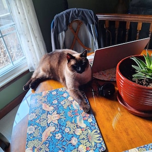 Barbara さんが購入した商品の写真を追加しました