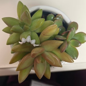Lauren added a photo of their purchase