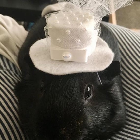 Customer photo of a pet with the Hedgehog Vogue Wedding White hat for small pet