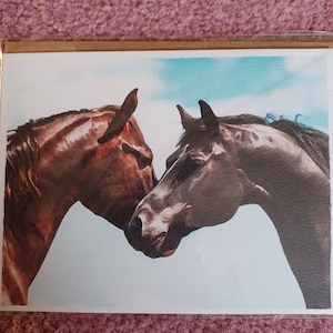Sheri ha aggiunto una foto del proprio acquisto