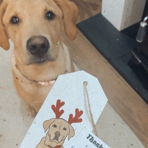Emily added a photo of their purchase