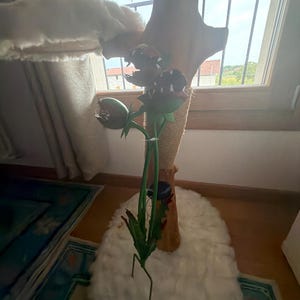 Noella added a photo of their purchase