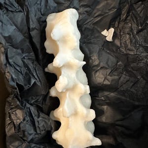 YB ha aggiunto una foto del proprio acquisto