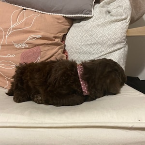 Emily added a photo of their purchase