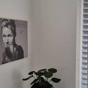 Colin added a photo of their purchase