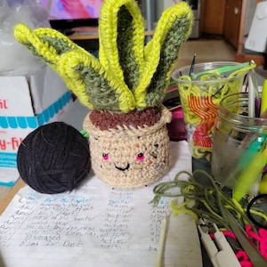 Anne added a photo of their purchase