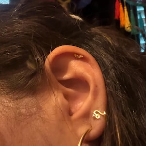 Layne added a photo of their purchase