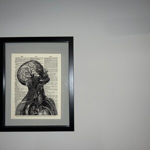 Anatomical Poster Set Anatomy Print Set of 6 Medical Wall Art - Etsy