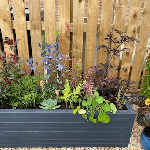 Rhona added a photo of their purchase