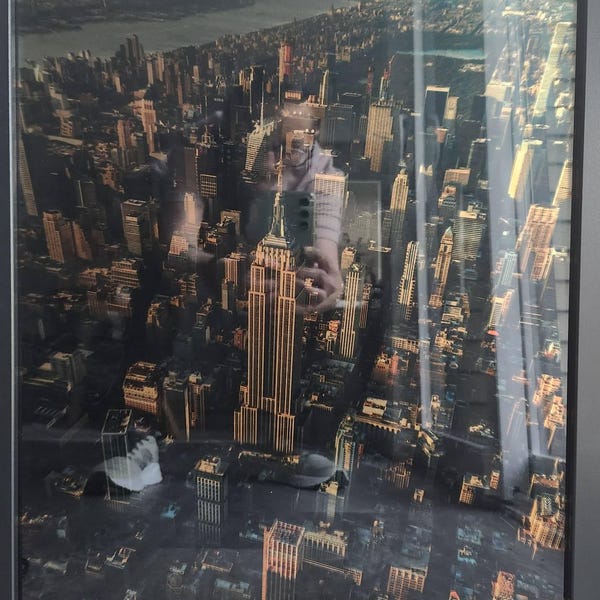 Florida State (script) Logo Wall Mirror | FSU Seminoles Decor - Etsy