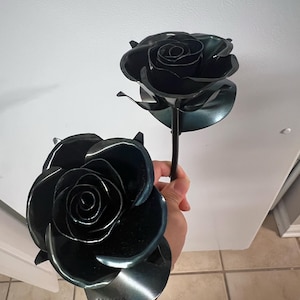 Dorothy added a photo of their purchase