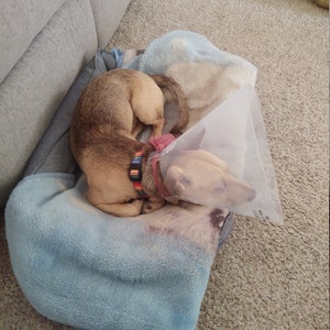 kelly added a photo of their purchase