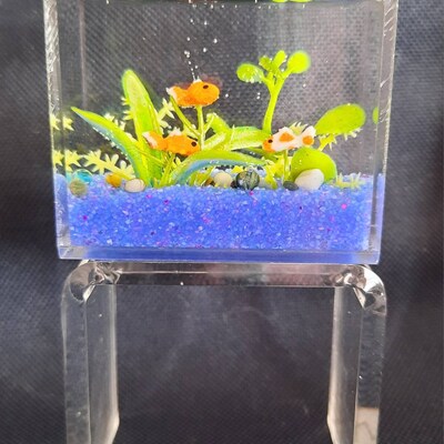 Miniature Goldfish Aquarium, Multi-color Gravel Smaller Size, Multi ... - Mini Compact Goldfish Care Aquarium