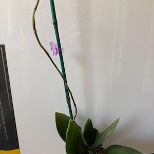 Michael added a photo of their purchase