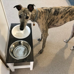 raised dog bowls for greyhounds