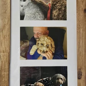 Bonnie added a photo of their purchase