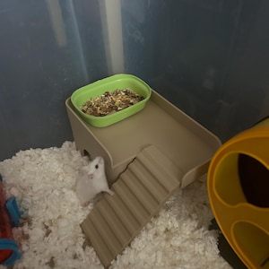 Rachel added a photo of their purchase