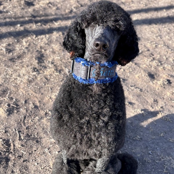 Custom Ribbon Display, Dog Award Ribbon Display Rack, Dog Rosette ...