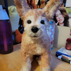 Emily added a photo of their purchase