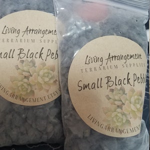 AshleyAnn added a photo of their purchase