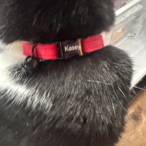 Carrie added a photo of their purchase