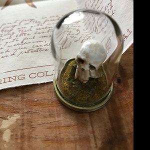 rv-j ha aggiunto una foto del proprio acquisto