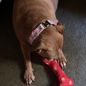 Margaret added a photo of their purchase