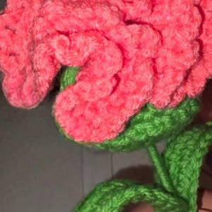 Teenia added a photo of their purchase