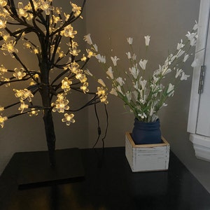 Lisa a ajouté une photo de son achat