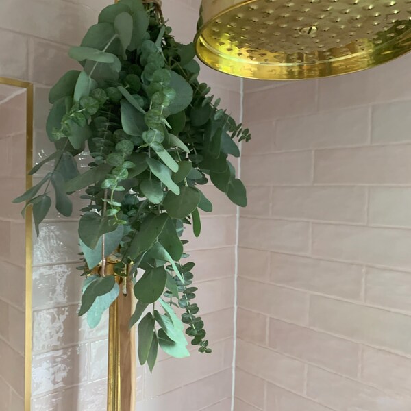 Shower Eucalyptus Bundle - Fresh Cut Eucalyptus - Etsy UK