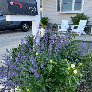 Kimberly added a photo of their purchase
