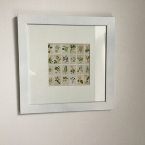 David added a photo of their purchase