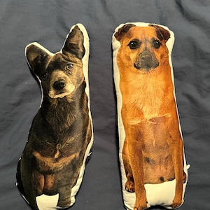 Jennifer added a photo of their purchase