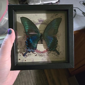 Courtney added a photo of their purchase