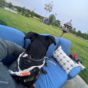 Gabriela a ajouté une photo de son achat