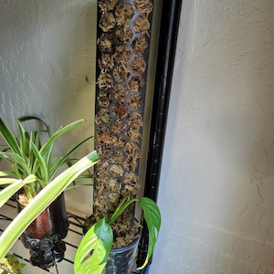 Silver added a photo of their purchase