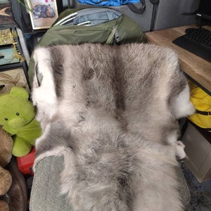 Jack added a photo of their purchase