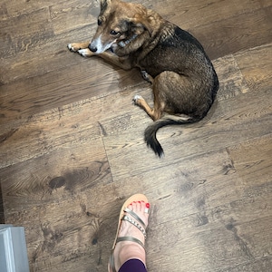 Polly added a photo of their purchase