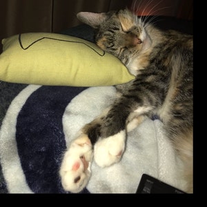 Cindy added a photo of their purchase