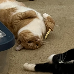 Etsy buyer added a photo of their purchase