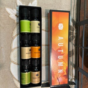 P&J Fragrance Oil Autumn Set | Brown Sugar, Apple, Harvest Spice, Vanilla,  Forest Pine, and Snickerdoodle Scents for Candle Making, Freshie Scents