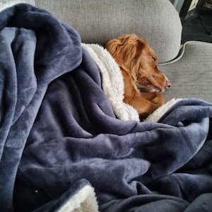 Lucy added a photo of their purchase