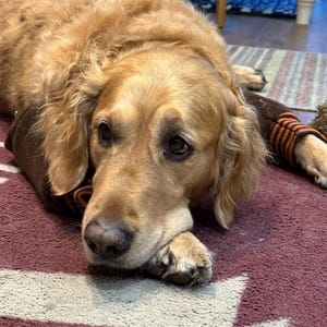 Pippa added a photo of their purchase