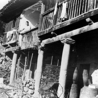 avishya cotton sarees